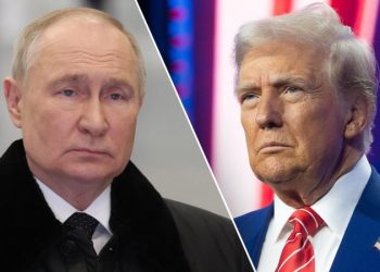 Putin says Russia is open to economic cooperation with US on rare earth minerals