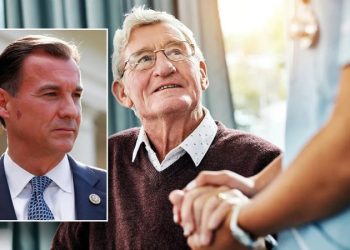 ‘Perfect storm brewing’ that will leave many aging seniors without necessary care, Dem lawmaker warns