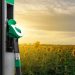 6 US Biofuel Stocks in 2025