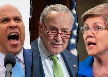 Conservatives flip script on Senate Dems pushing identical talking points against Trump: ‘Like robots’