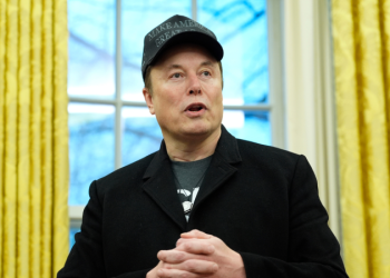 DOGE chain of command revealed in court filing, showing Musk is not the boss
