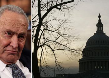 Senate Republicans coin ‘Schumer shutdown’ ahead of critical vote on Trump spending bill