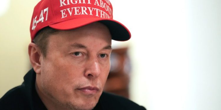 Elon Musk says backlash against his DOGE government cuts is hurting Tesla stock