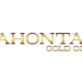 Lahontan Announces Private Placement of Units