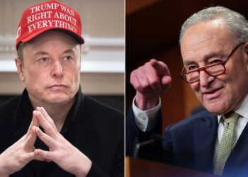 Elon Musk scraps with Chuck Schumer, suggesting the senator profits from government fraud