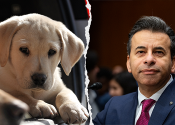 PETA, animal rights groups praise Trump admin for phasing out ‘cruel tests on dogs’ and other animals