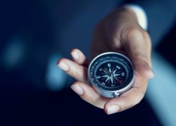 The Hidden Meaning Behind the Tech Sector’s Rally (And How to Spot It)