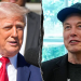 Musk deletes explosive posts about Trump and Epstein files