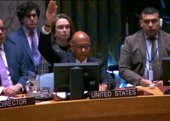 I know why the UN Security Council is irrelevant to Gaza. I was there when the US stood up for Israel