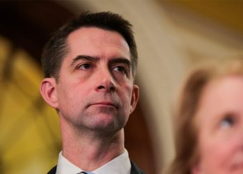 Senate Republican moves to give US an edge on China in harvesting minerals for weapons systems