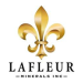 LaFleur Minerals Provides Update on PEA for the Restart of Beacon Gold Mill Sourcing Material from Its Swanson Gold Deposit, Val d’Or, Québec