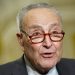DAVID MARCUS: How Chuck Schumer finally reaped the whirlwind