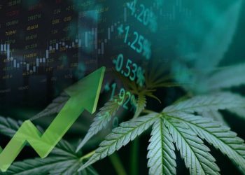 Is 2026 The Year The Cannabis Industry Matures?